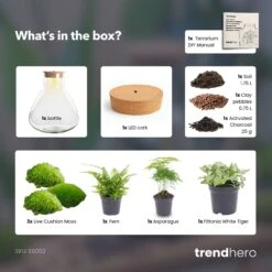 Sam XL - Terrarium With Light - Bottle Garden DIY Kit - Ø 30 cm ↑ 32 cm -Plant Haven Home SamXL green terrarium diy bottle garden 23b341e9 38ea 4e25 96ce 8cb99336c5dc