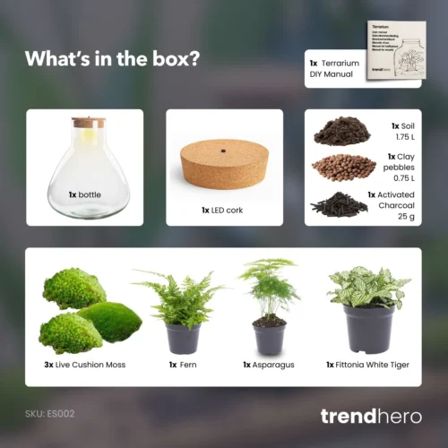 Sam XL - Terrarium With Light - Bottle Garden DIY Kit - Ø 30 cm ↑ 32 cm -Plant Haven Home SamXL green terrarium diy bottle garden 23b341e9 38ea 4e25 96ce 8cb99336c5dc