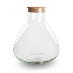 Terrarium Bottle 'Sammie' With Cork - Closed Terrarium Ø 22.5 Cm ↑ 27 Cm