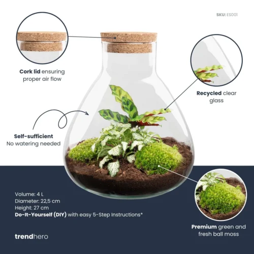 Sammie - Terrarium With Light - Bottle Garden DIY Kit - Ø 22,5 Cm ↑ 27 Cm -Plant Haven Home Sammie calathea plant terrarium diy kit info trendhero