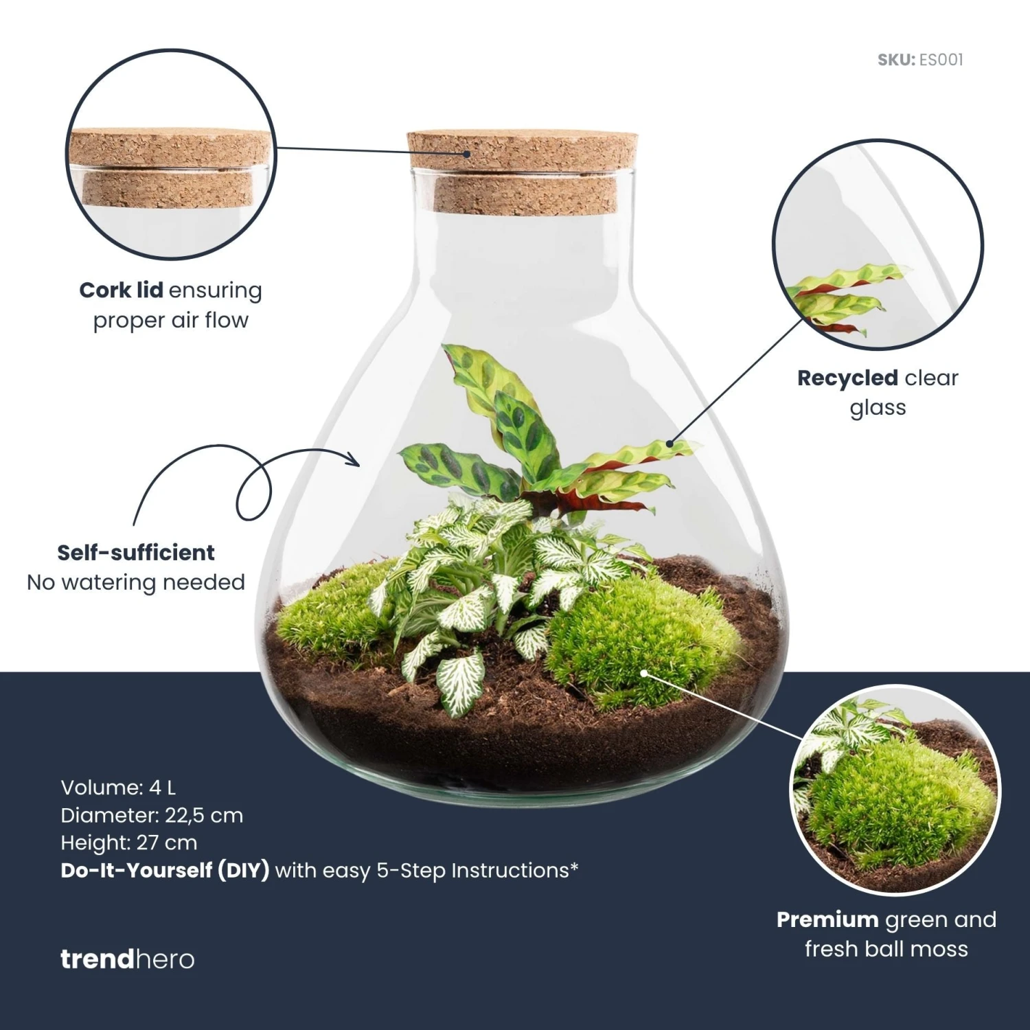Sammie - Terrarium With Light - Bottle Garden DIY Kit - Ø 22,5 Cm ↑ 27 Cm 3 Sammie - Terrarium With Light - Bottle Garden DIY Kit - Ø 22,5 Cm ↑ 27 Cm - Image 3