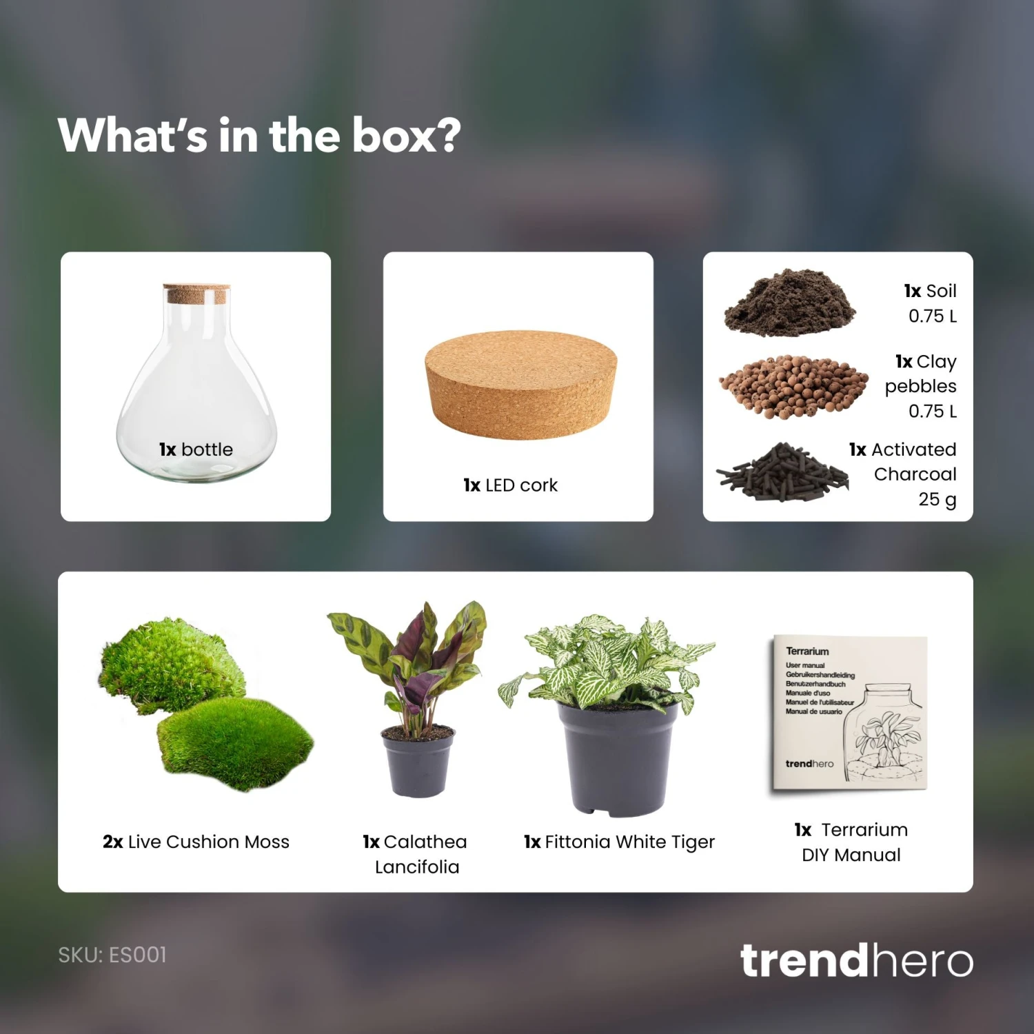 Sammie - Terrarium With Light - Bottle Garden DIY Kit - Ø 22,5 Cm ↑ 27 Cm 4 Sammie - Terrarium With Light - Bottle Garden DIY Kit - Ø 22,5 Cm ↑ 27 Cm - Image 4