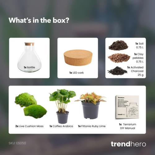 Sammie - Terrarium With Light - Bottle Garden DIY Kit - Ø 22,5 Cm ↑ 27 Cm -Plant Haven Home Sammie coffea ruby terrarium diy bottle garden