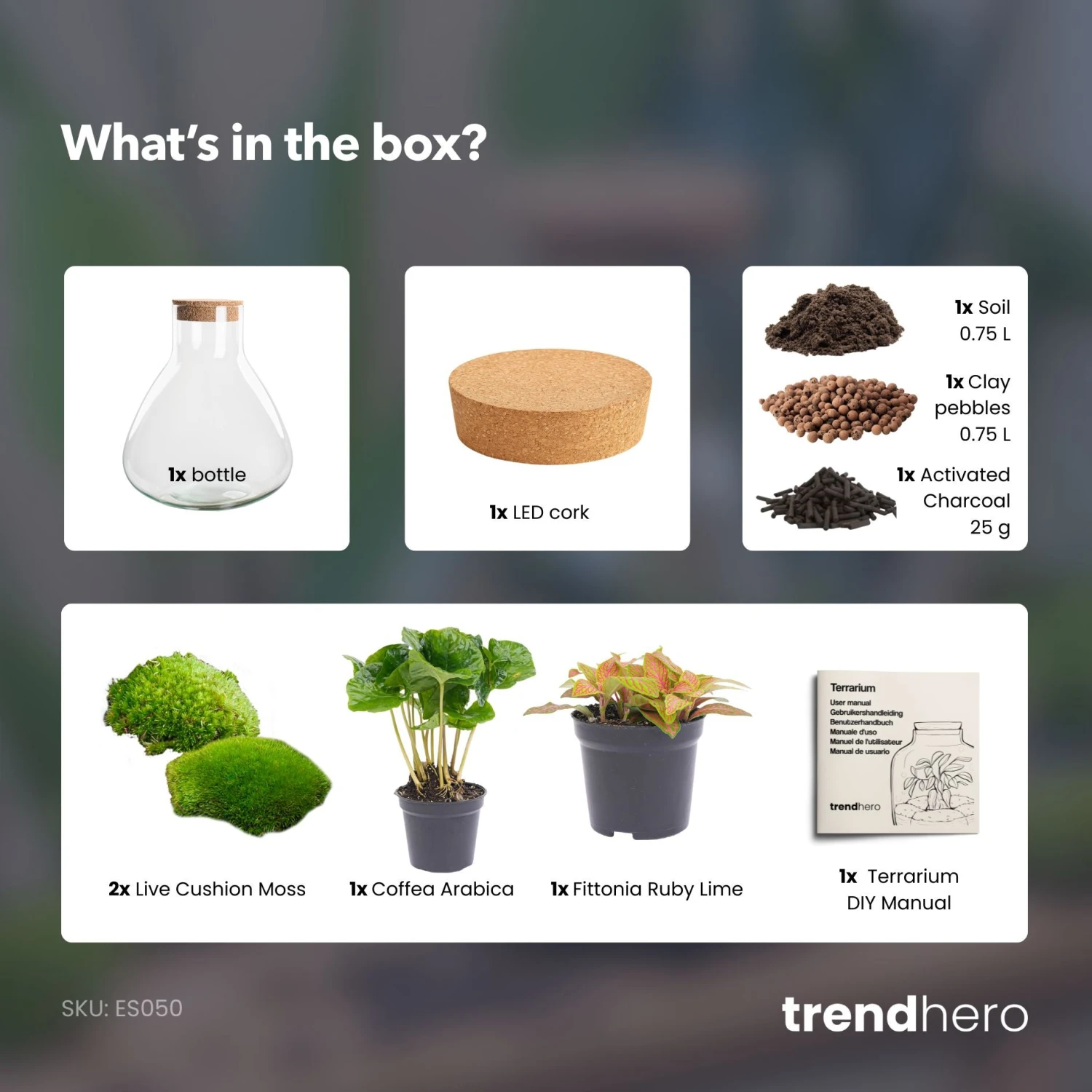 Sammie - Terrarium With Light - Bottle Garden DIY Kit - Ø 22,5 Cm ↑ 27 Cm 10 Sammie - Terrarium With Light - Bottle Garden DIY Kit - Ø 22,5 Cm ↑ 27 Cm - Image 10