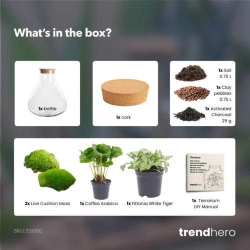 Sammie - Terrarium With Light - Bottle Garden DIY Kit - Ø 22,5 Cm ↑ 27 Cm -Plant Haven Home Sammie coffea white terrarium diy bottle garden