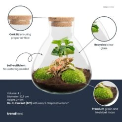 Sammie - Terrarium With Light - Bottle Garden DIY Kit - Ø 22,5 Cm ↑ 27 Cm 21 Sammie - Terrarium With Light - Bottle Garden DIY Kit - Ø 22,5 Cm ↑ 27 Cm -Plant Haven Home Sammie red coffea plant terrarium diy kit info trendhero