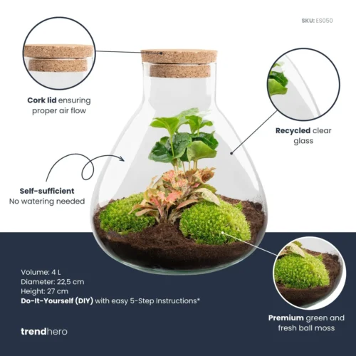 Sammie - Terrarium With Light - Bottle Garden DIY Kit - Ø 22,5 Cm ↑ 27 Cm -Plant Haven Home Sammie red coffea plant terrarium diy kit info trendhero