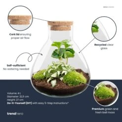 Sammie - Terrarium With Light - Bottle Garden DIY Kit - Ø 22,5 Cm ↑ 27 Cm 18 Sammie - Terrarium With Light - Bottle Garden DIY Kit - Ø 22,5 Cm ↑ 27 Cm -Plant Haven Home Sammie white coffea plant terrarium diy kit info trendhero