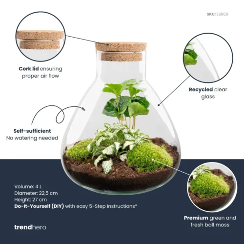 Sammie - Terrarium With Light - Bottle Garden DIY Kit - Ø 22,5 Cm ↑ 27 Cm -Plant Haven Home Sammie white coffea plant terrarium diy kit info trendhero