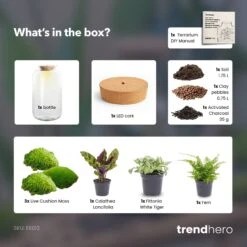 Sven XL Botanical - Terrarium With Light - Bottle Garden DIY Kit - Ø 23 Cm ↑ 43 Cm 8 Sven XL Botanical - Terrarium With Light - Bottle Garden DIY Kit - Ø 23 Cm ↑ 43 Cm -Plant Haven Home Sven xl Botanical terrarium diy bottle garden