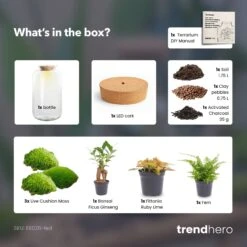 Sven XL Bonsai - Terrarium With Light - Bottle Garden DIY Kit - Ø 23 Cm ↑ 43 Cm -Plant Haven Home Sven xl bonsai red terrarium diy bottle garden 77e1d01e 7297 44ac 90c7 a48d1938e6aa