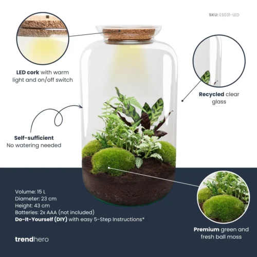 Sven XL Botanical - Terrarium With Light - Bottle Garden DIY Kit - Ø 23 Cm ↑ 43 Cm -Plant Haven Home Sven xl botanical plant terrarium diy kit info trendhero