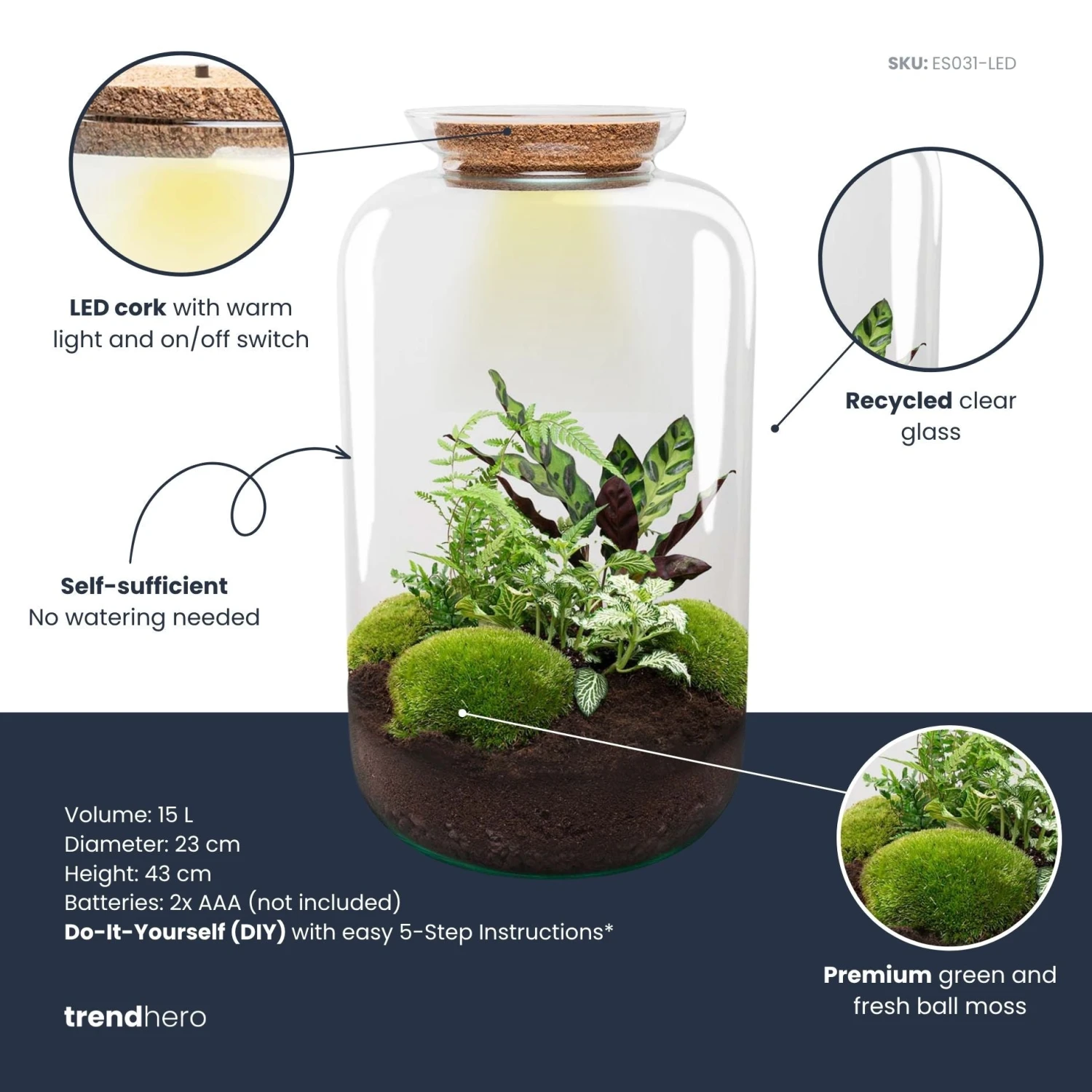 Sven XL Botanical - Terrarium With Light - Bottle Garden DIY Kit - Ø 23 Cm ↑ 43 Cm 3 Sven XL Botanical - Terrarium With Light - Bottle Garden DIY Kit - Ø 23 Cm ↑ 43 Cm - Image 3
