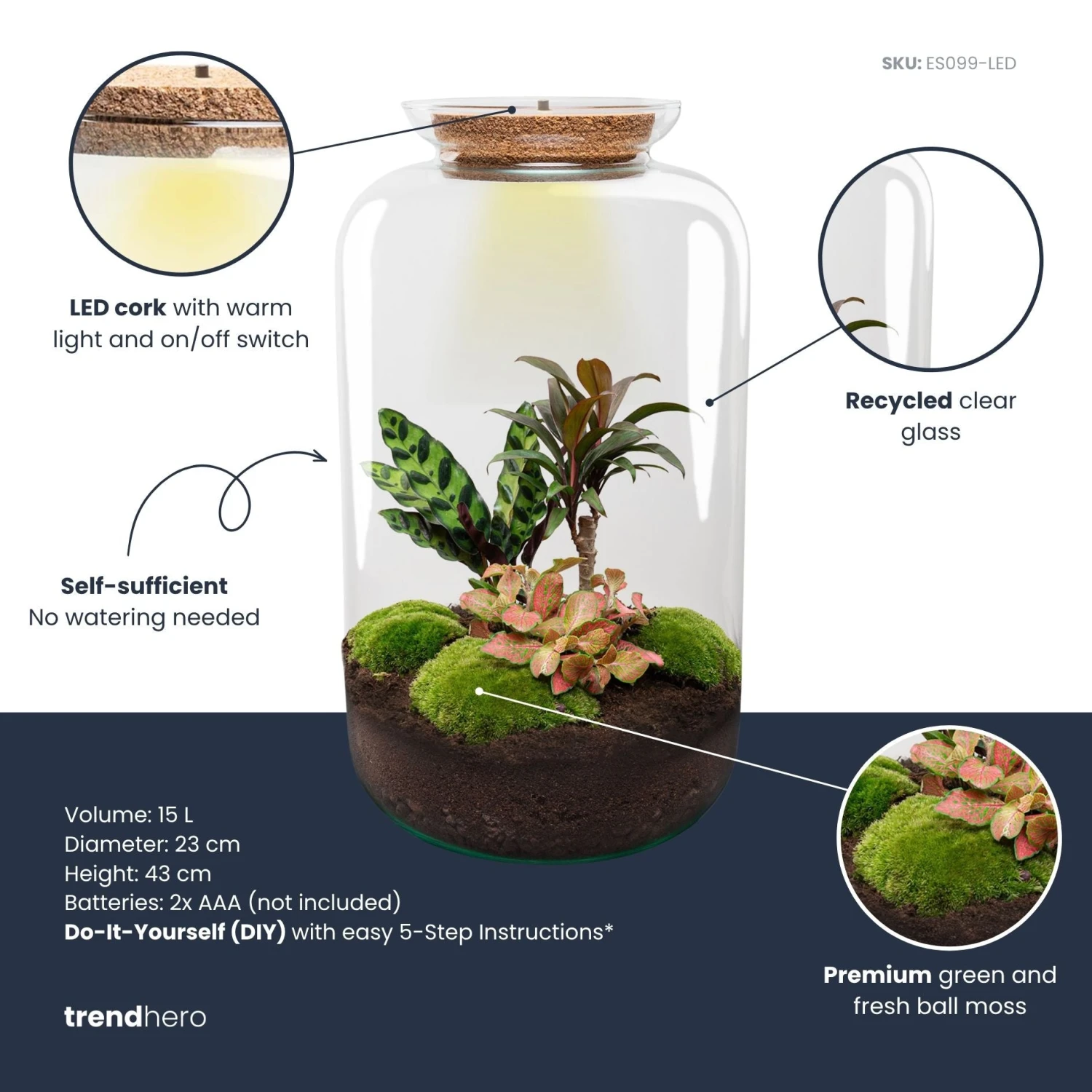 Sven XL Palm - Terrarium With Light - Bottle Garden DIY Kit - Ø 23 Cm ↑ 43 Cm 2 Sven XL Palm - Terrarium With Light - Bottle Garden DIY Kit - Ø 23 Cm ↑ 43 Cm - Image 2