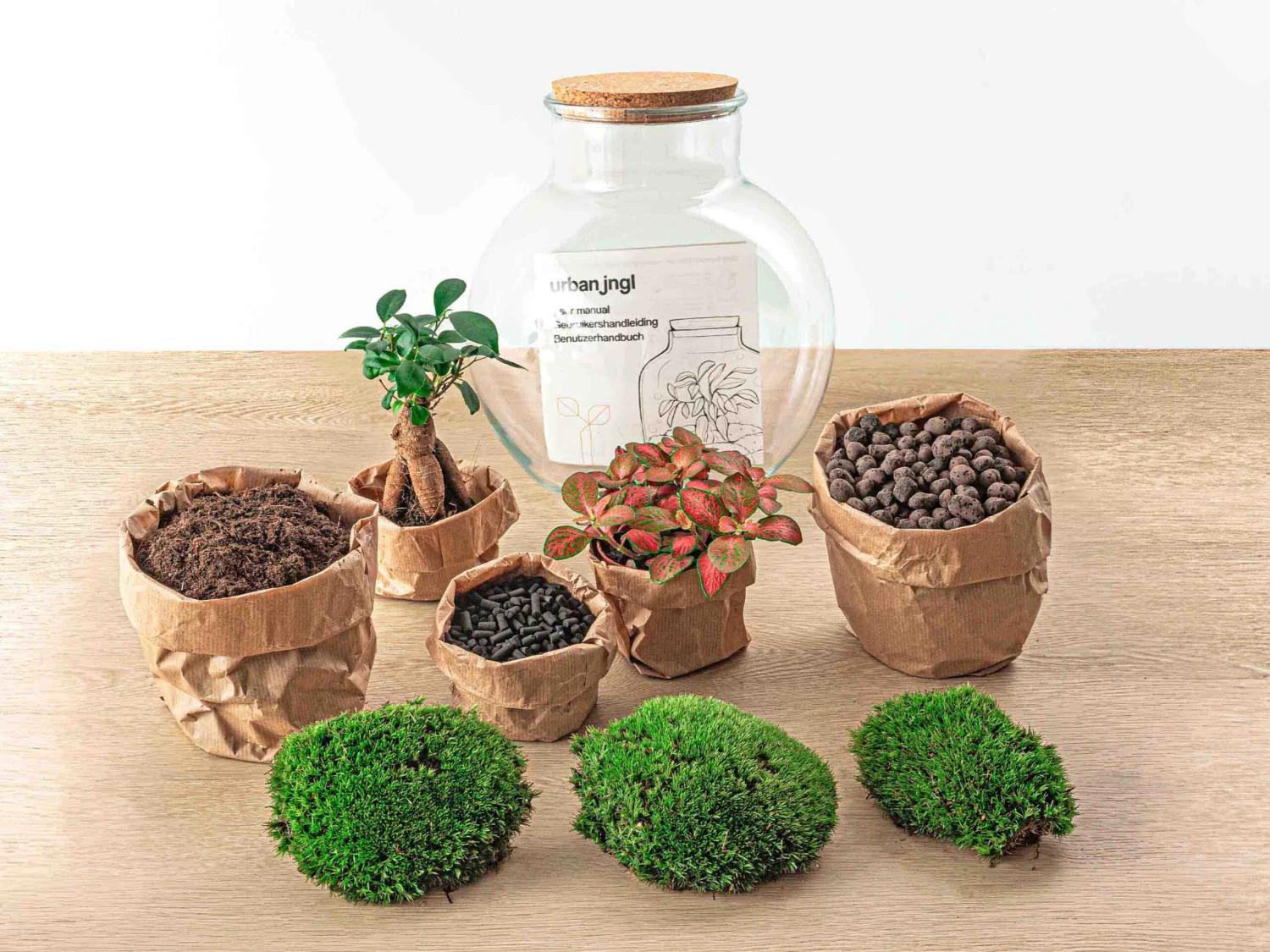 Teddy Bonsai - Terrarium With Light - Bottle Garden DIY Kit - Ø 25 Cm ↑ 26,5 Cm 5 Teddy Bonsai - Terrarium With Light - Bottle Garden DIY Kit - Ø 25 Cm ↑ 26,5 Cm - Image 5