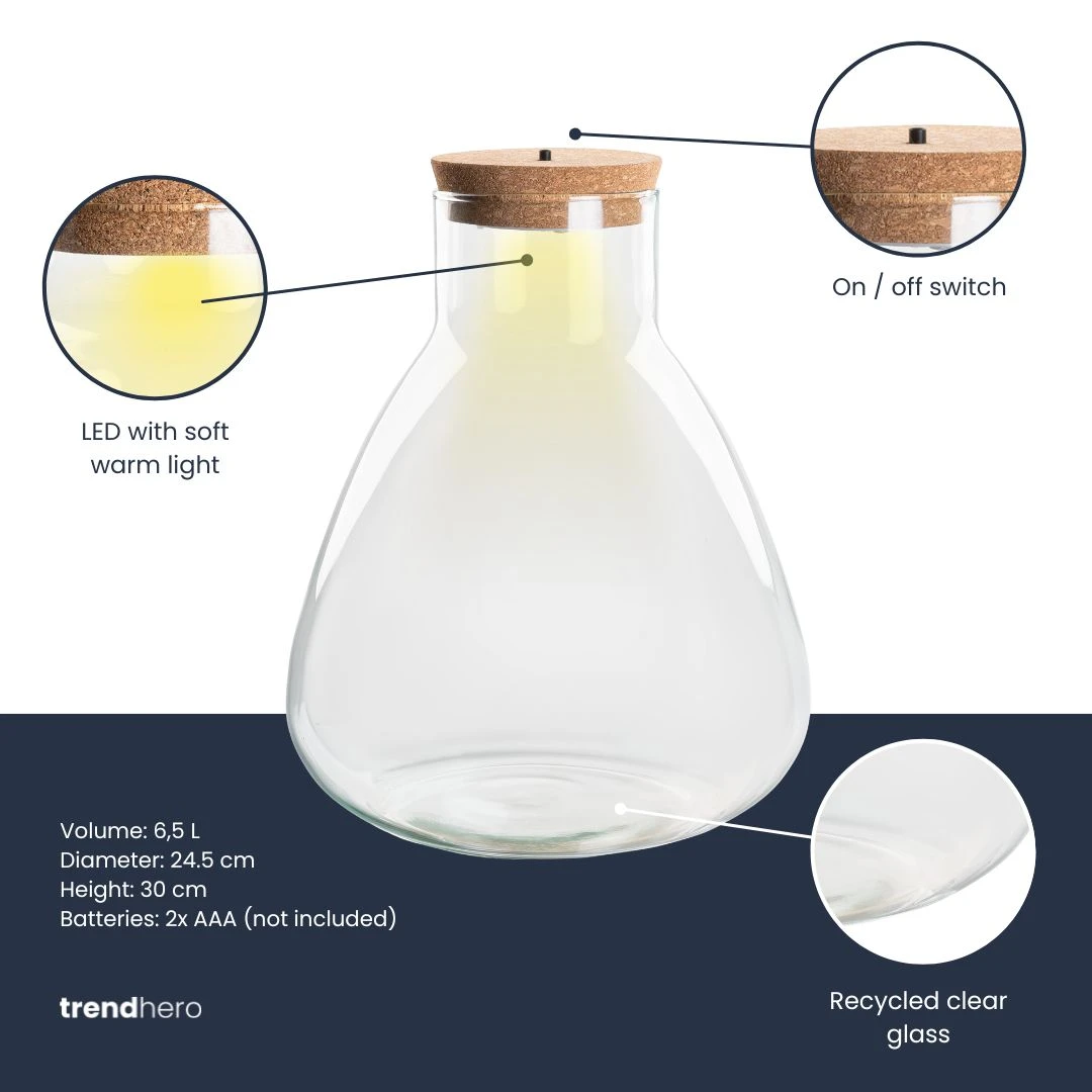 Terrarium Bottle 'Sam' - Incl. LED Cork - Closed Terrarium Ø 24.5 Cm ↑ 30 Cm 4 Terrarium Bottle 'Sam' - Incl. LED Cork - Closed Terrarium Ø 24.5 Cm ↑ 30 Cm - Image 4