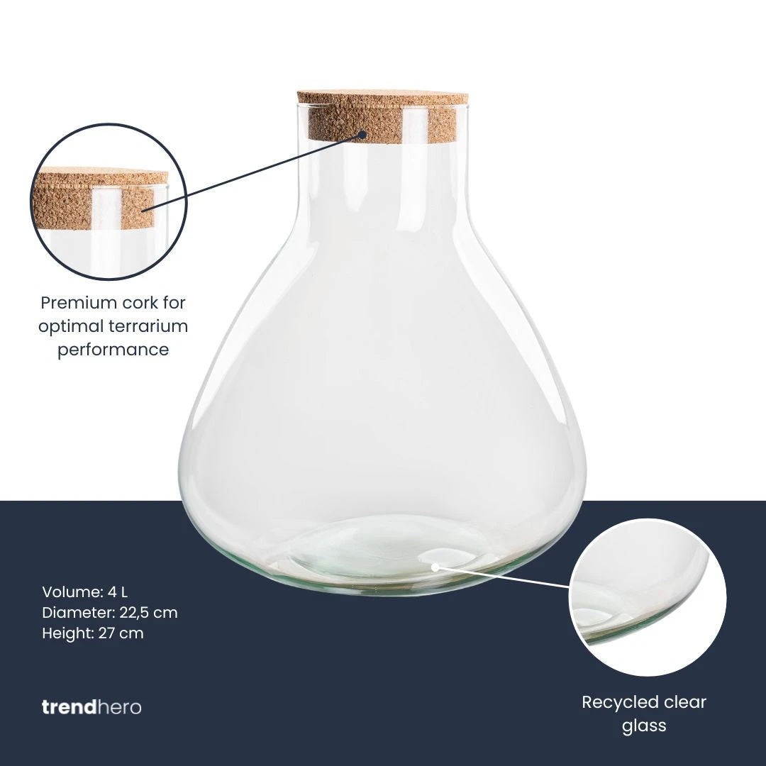 Terrarium Bottle 'Sammie' With Cork - Closed Terrarium Ø 22.5 Cm ↑ 27 Cm 2 Terrarium Bottle 'Sammie' With Cork - Closed Terrarium Ø 22.5 Cm ↑ 27 Cm - Image 2