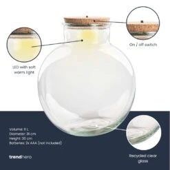 Terrarium Bottle 'Teddy' - Incl. (LED) Cork - Closed Terrarium Ø 25 Cm ↑ 26.5 Cm 6 Terrarium Bottle 'Teddy' - Incl. (LED) Cork - Closed Terrarium Ø 25 Cm ↑ 26.5 Cm -Plant Haven Home Terrarium fles trendhero bolder bob