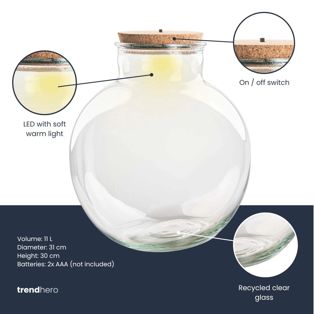 Terrarium Bottle 'Teddy' - Incl. (LED) Cork - Closed Terrarium Ø 25 Cm ↑ 26.5 Cm 3 Terrarium Bottle 'Teddy' - Incl. (LED) Cork - Closed Terrarium Ø 25 Cm ↑ 26.5 Cm - Image 3