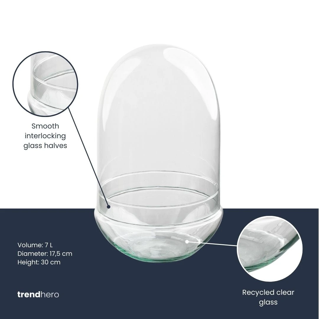 Terrarium Bottle ‘Egg XL’ – Two-part Glass Dome – Closed Terrarium Ø 17.5 Cm ↑ 30 Cm 2 Terrarium Bottle ‘Egg XL’ – Two-part Glass Dome – Closed Terrarium Ø 17.5 Cm ↑ 30 Cm - Image 2