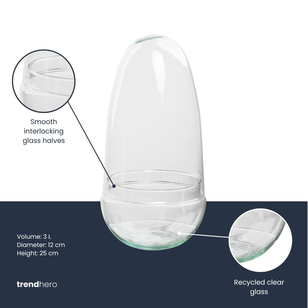 Terrarium Bottle ‘Egg’ – Two-part Glass Dome – Closed Terrarium Ø 12 Cm ↑ 25 Cm 2 Terrarium Bottle ‘Egg’ – Two-part Glass Dome – Closed Terrarium Ø 12 Cm ↑ 25 Cm - Image 2