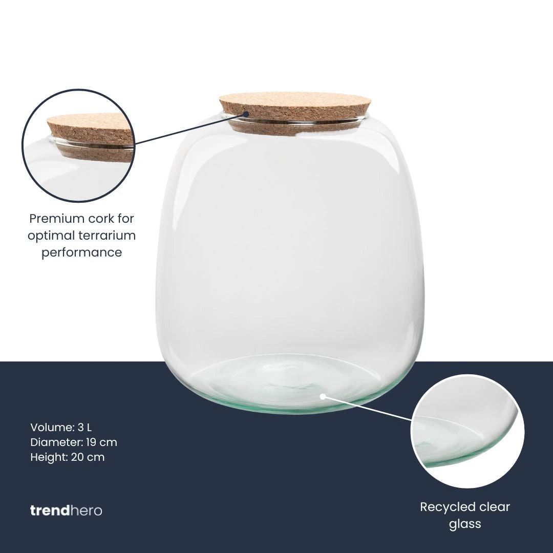 Terrarium Bottle ‘Emma Mini’ With Cork - Closed Terrarium Ø 19 Cm ↑ 20 Cm 2 Terrarium Bottle ‘Emma Mini’ With Cork - Closed Terrarium Ø 19 Cm ↑ 20 Cm - Image 2