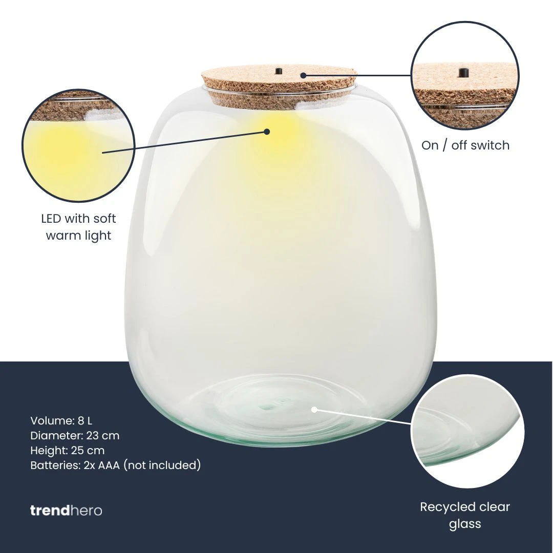 Terrarium Bottle ‘Emma' - Incl. LED Cork - Closed Terrarium Ø 23 Cm ↑ 25 Cm 2 Terrarium Bottle ‘Emma' - Incl. LED Cork - Closed Terrarium Ø 23 Cm ↑ 25 Cm - Image 2