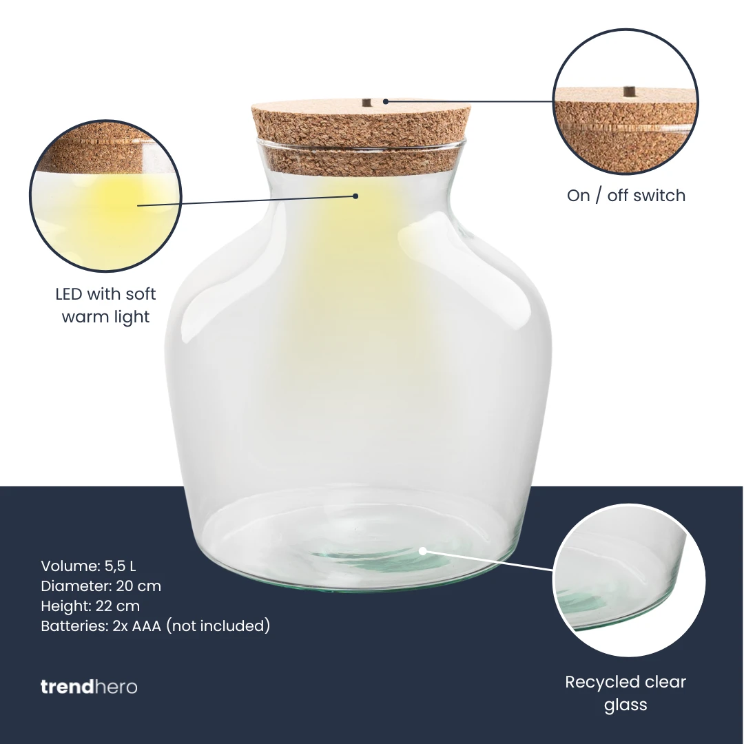 Terrarium Bottle 'Little Joe' - Incl. LED Cork - Closed Terrarium Ø 20 Cm ↑ 22 Cm 3 Terrarium Bottle 'Little Joe' - Incl. LED Cork - Closed Terrarium Ø 20 Cm ↑ 22 Cm - Image 3