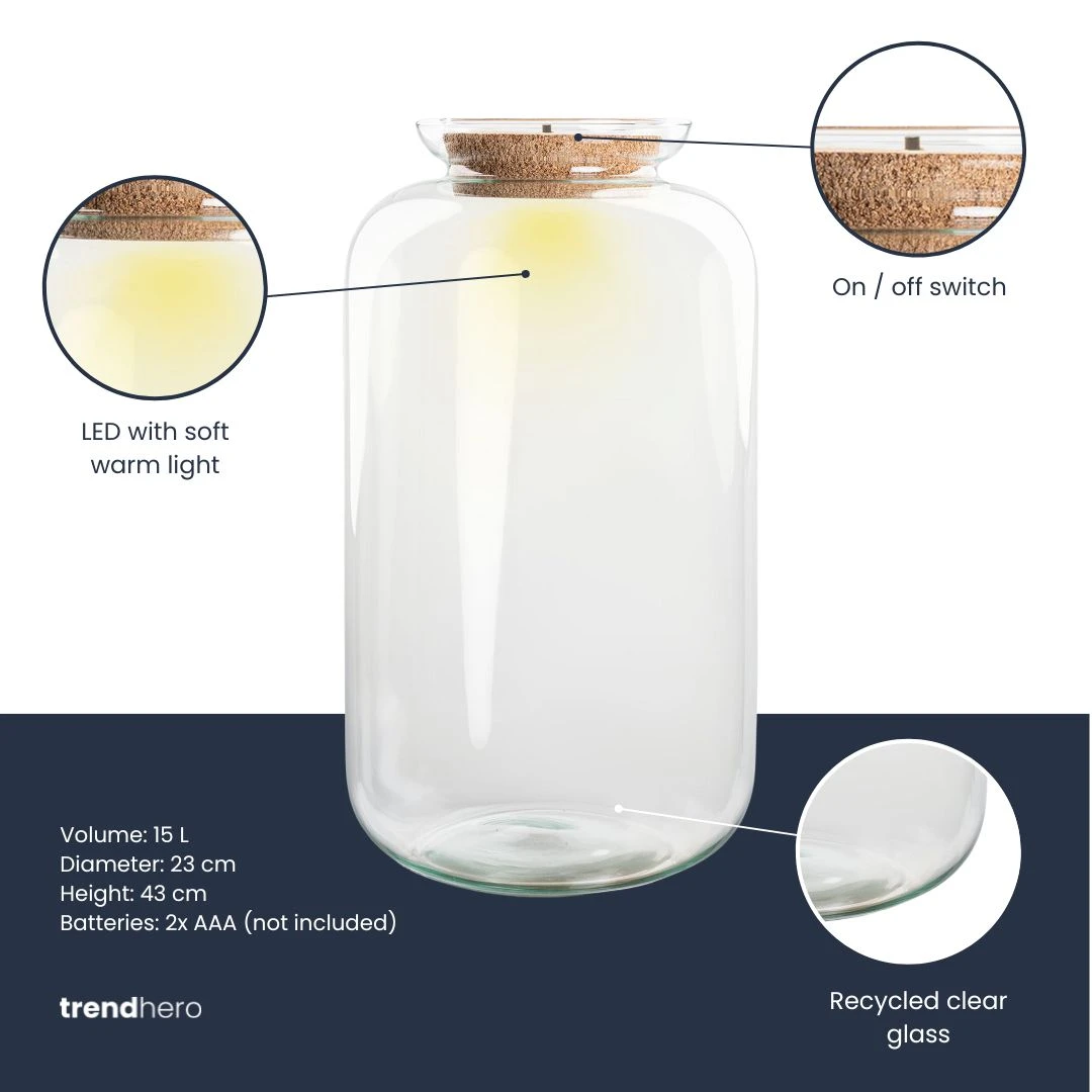 Terrarium Bottle 'Sven XL' - Incl. LED Cork - Closed Terrarium Ø 23 Cm ↑ 43 Cm 2 Terrarium Bottle 'Sven XL' - Incl. LED Cork - Closed Terrarium Ø 23 Cm ↑ 43 Cm - Image 2