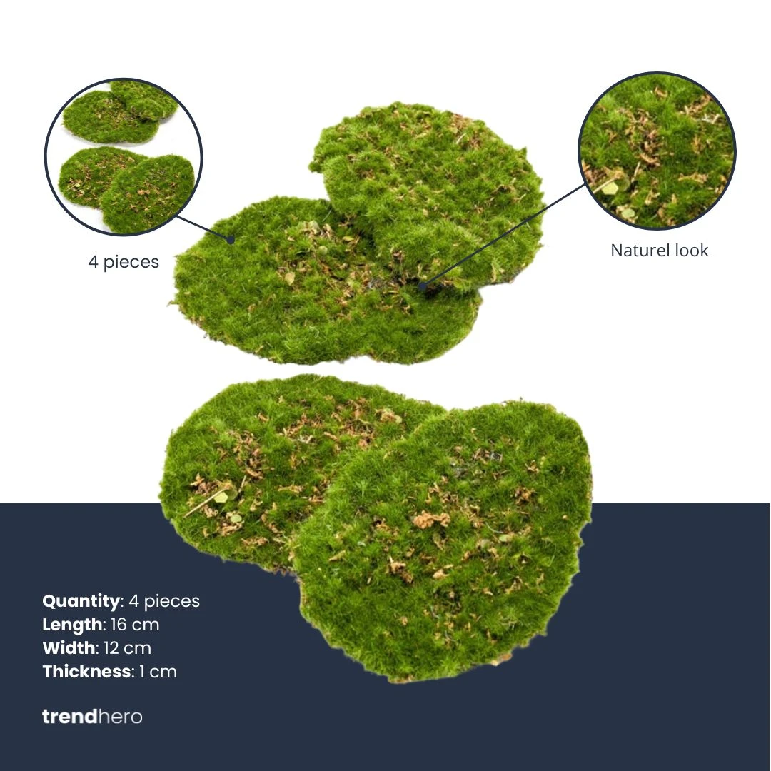 Moss Plate - Green Moss – Set Of 4 - Artificial Moss 2 Moss Plate - Green Moss – Set Of 4 - Artificial Moss - Image 2