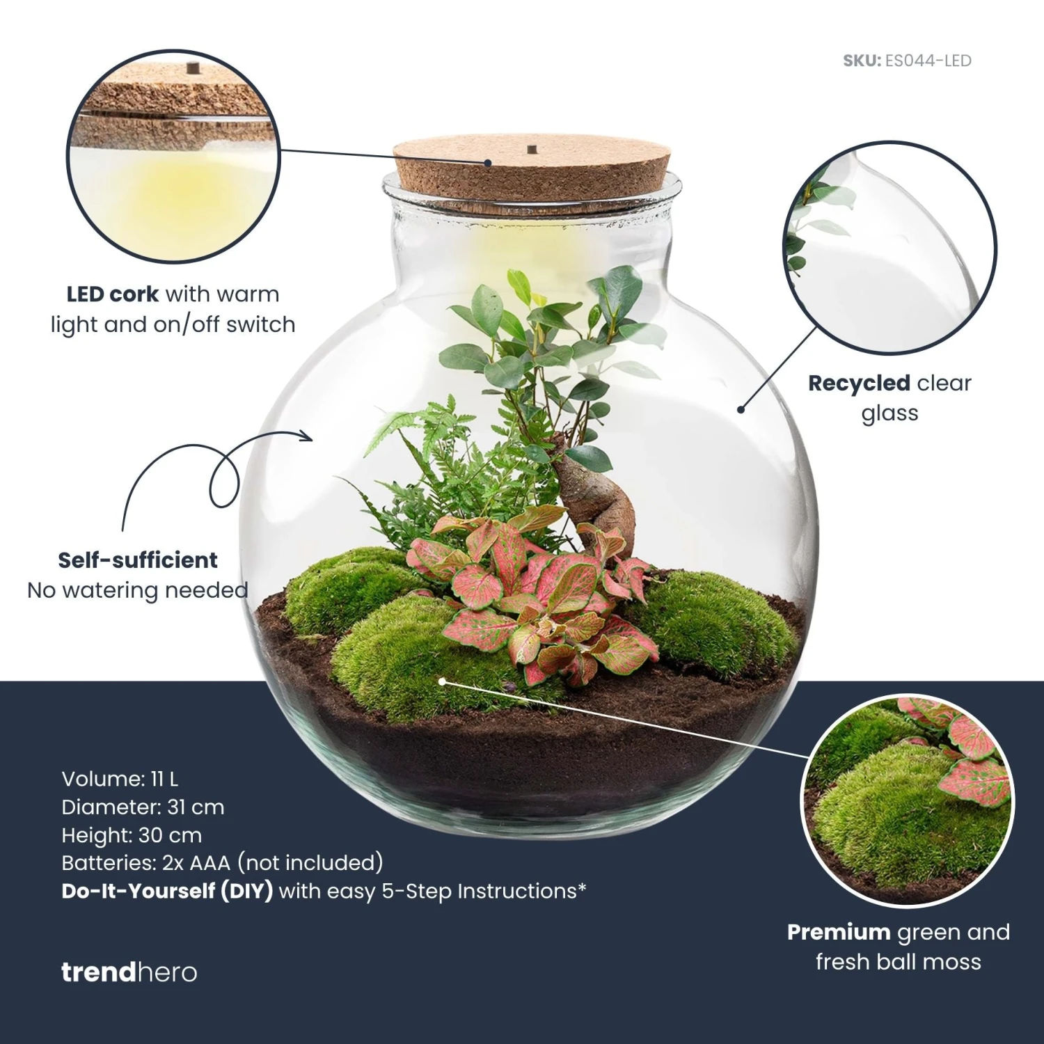 Bolder Bob Bonsai - Terrarium With Light - Bottle Garden DIY Kit - Ø 31 Cm ↑ 30 Cm 3 Bolder Bob Bonsai - Terrarium With Light - Bottle Garden DIY Kit - Ø 31 Cm ↑ 30 Cm - Image 3