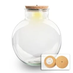 Terrarium Bottle 'Bolder Bob' - Incl. (LED) Cork - Closed Terrarium Ø 30 Cm ↑ 31 Cm -Plant Haven Home bolder bob led light terrarium flaschengarten mit lampe