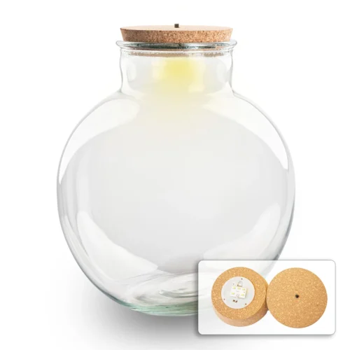 Terrarium Bottle 'Bolder Bob' - Incl. (LED) Cork - Closed Terrarium Ø 30 Cm ↑ 31 Cm 8 Terrarium Bottle 'Bolder Bob' - Incl. (LED) Cork - Closed Terrarium Ø 30 Cm ↑ 31 Cm -Plant Haven Home bolder bob led light terrarium flaschengarten mit lampe