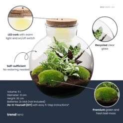 Bolder Bob - Terrarium With Light - Bottle Garden DIY Kit - Ø 31 Cm ↑ 30 Cm -Plant Haven Home bolder bob plant terrarium diy kit info trendhero