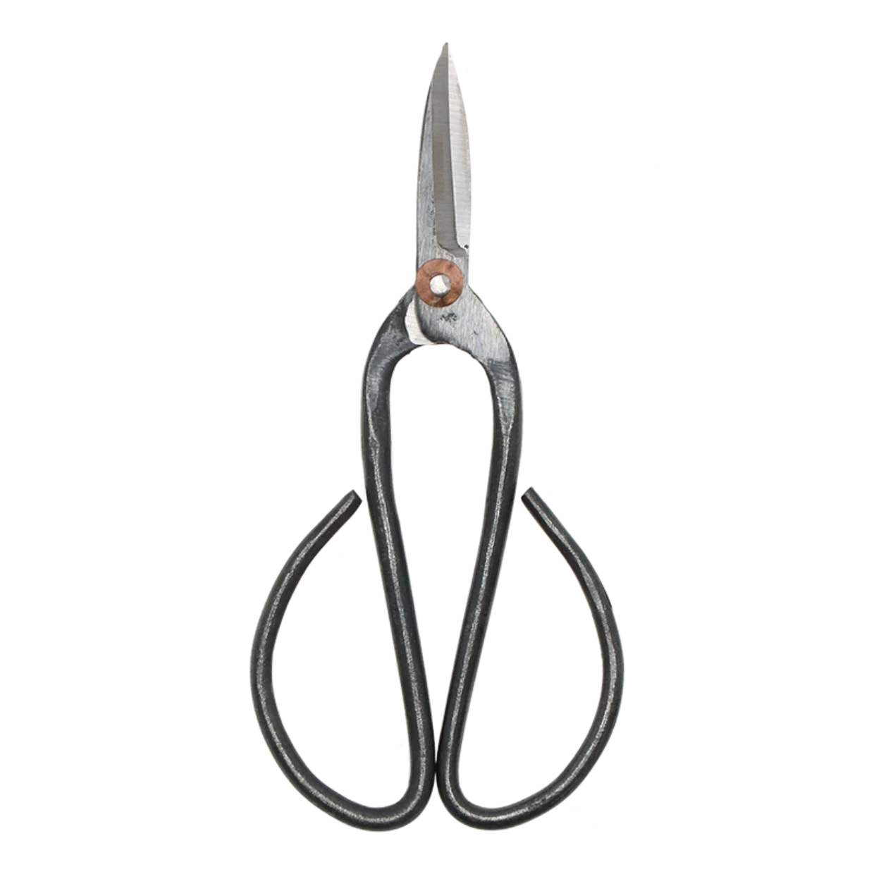 Bonsai Shears L - 19 Cm - Bonsai Tool 1 Bonsai Shears L - 19 Cm - Bonsai Tool