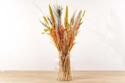 Dried Flowers - Surprise Bouquet - At The Value Of € 39,50 8 Dried Flowers - Surprise Bouquet - At The Value Of € 39,50 -Plant Haven Home colorful nature flowers trockenblumen droogbloemen d2bf95b4 7b90 4c2e b716 541a15fb349d