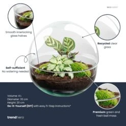 Dome - Two-part Round Glass Terrarium - Bottle Garden DIY Kit - Ø 20 Cm ↑ 20 Cm 7 Dome - Two-part Round Glass Terrarium - Bottle Garden DIY Kit - Ø 20 Cm ↑ 20 Cm -Plant Haven Home dome plant terrarium diy kit info trendhero