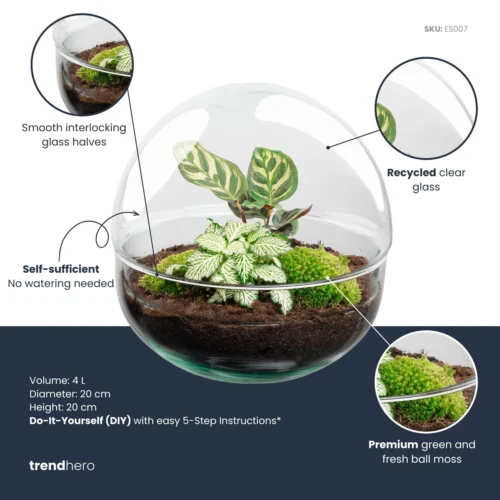 Dome - Two-part Round Glass Terrarium - Bottle Garden DIY Kit - Ø 20 Cm ↑ 20 Cm -Plant Haven Home dome plant terrarium diy kit info trendhero