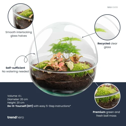 Plant Haven Home -Plant Haven Home dome rood plant terrarium diy kit info trendhero