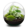 Dome XL - Two-part Round Glass Terrarium - Bottle Garden DIY Kit - Ø 28 Cm ↑ 28 Cm