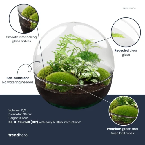 Dome XL - Two-part Round Glass Terrarium - Bottle Garden DIY Kit - Ø 28 Cm ↑ 28 Cm -Plant Haven Home dome xl green plant terrarium diy kit info trendhero