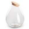 Terrarium Bottle 'Drop XXL' With Cork - Closed Terrarium Ø 34 Cm ↑ 43 Cm