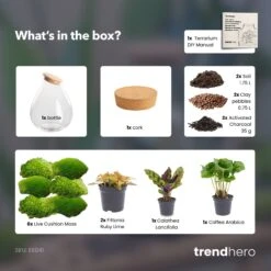 Drop XXL Red - Terrarium With Cork - Bottle Garden DIY Kit - Ø 34 Cm ↑ 43 Cm -Plant Haven Home drop xxl red terrarium diy bottle garden b02ce296 6095 4be1 820a f0511bcc0a99