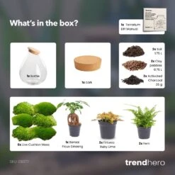 Drop XXL Bonsai - Terrarium With Cork - Bottle Garden DIY Kit - Ø 34 Cm ↑ 43 Cm -Plant Haven Home drop xxl terrarium diy bottle garden