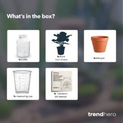 Easyplant - Fido Terrarium Jar - Bottle Garden DIY Kit - Ø 18 Cm ↑ 28 Cm 12 Easyplant - Fido Terrarium Jar - Bottle Garden DIY Kit - Ø 18 Cm ↑ 28 Cm -Plant Haven Home easyplant choose plant terrarium diy bottle garden