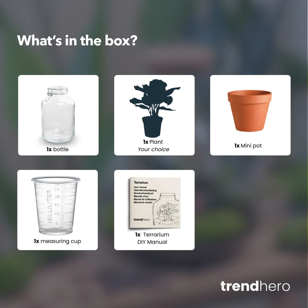 Easyplant - Fido Terrarium Jar - Bottle Garden DIY Kit - Ø 18 Cm ↑ 28 Cm 3 Easyplant - Fido Terrarium Jar - Bottle Garden DIY Kit - Ø 18 Cm ↑ 28 Cm - Image 3