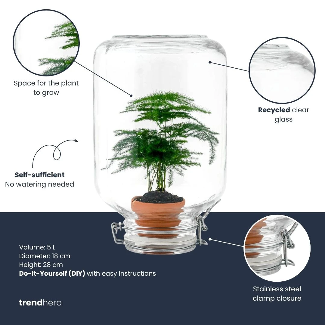 Easyplant - Fido Terrarium Jar - Bottle Garden DIY Kit - Ø 18 Cm ↑ 28 Cm 2 Easyplant - Fido Terrarium Jar - Bottle Garden DIY Kit - Ø 18 Cm ↑ 28 Cm - Image 2