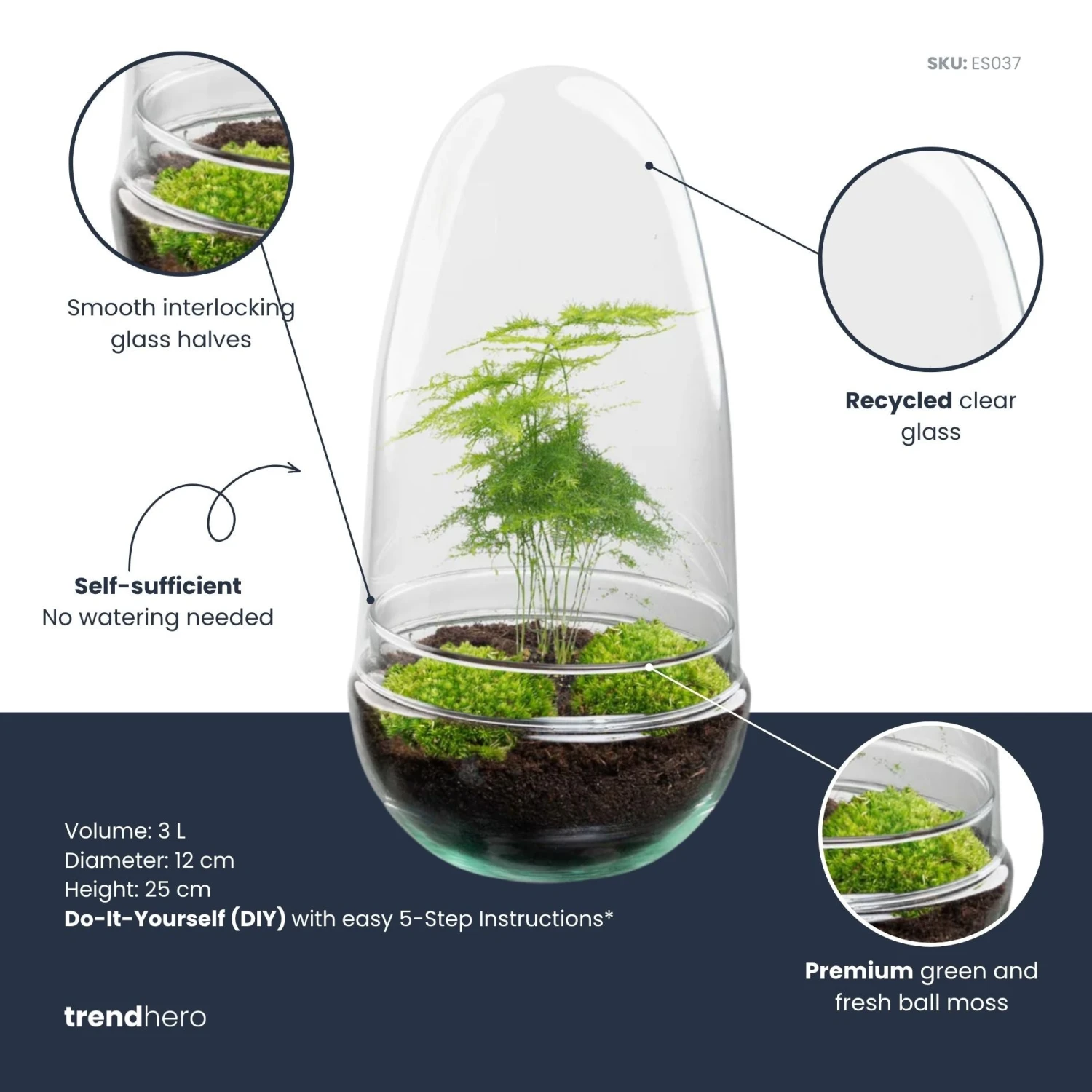 Egg - Terrarium - Two-part Glass Dome - Bottle Garden DIY Kit - Ø 12 Cm ↑ 25 Cm 7 Egg - Terrarium - Two-part Glass Dome - Bottle Garden DIY Kit - Ø 12 Cm ↑ 25 Cm - Image 7