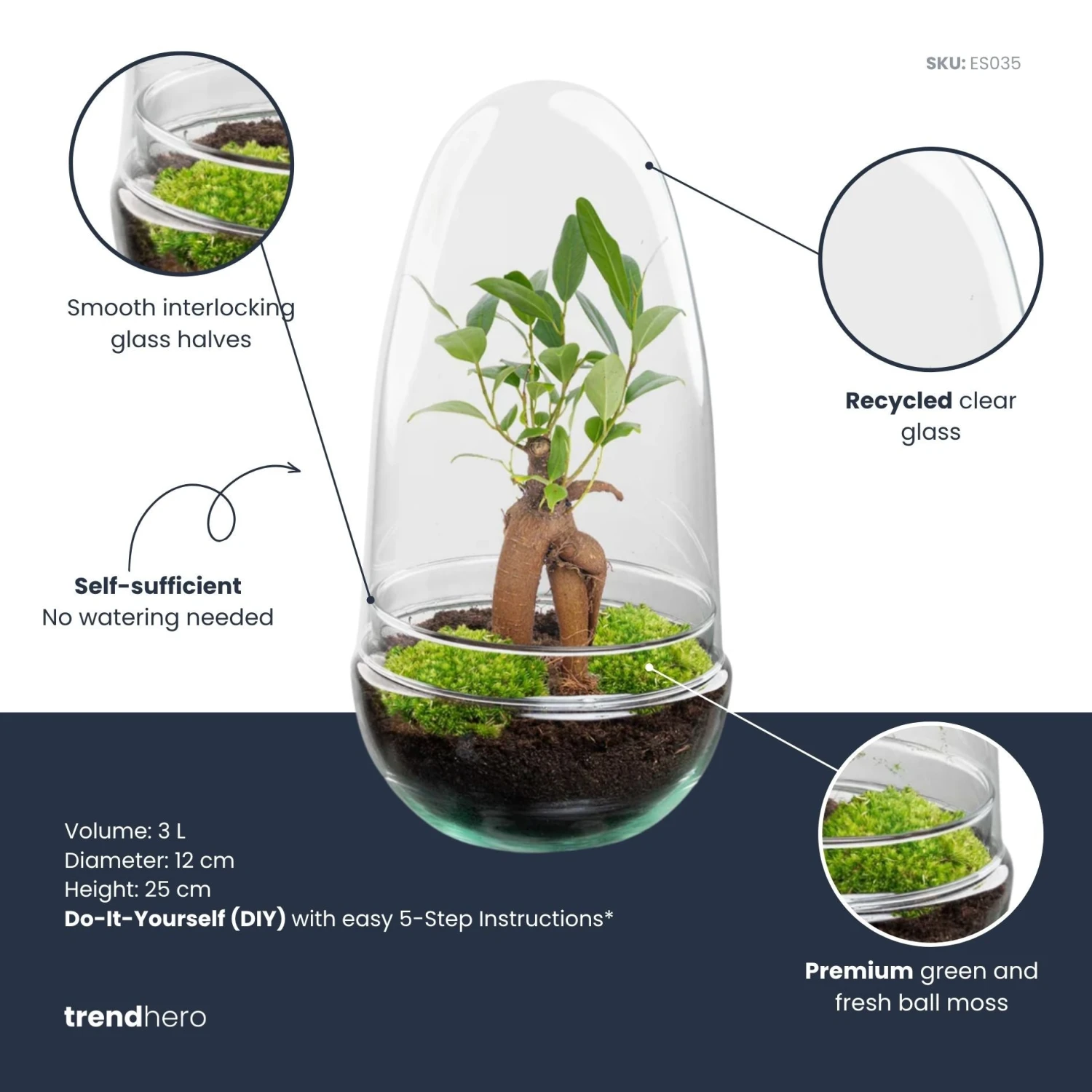 Egg - Terrarium - Two-part Glass Dome - Bottle Garden DIY Kit - Ø 12 Cm ↑ 25 Cm 3 Egg - Terrarium - Two-part Glass Dome - Bottle Garden DIY Kit - Ø 12 Cm ↑ 25 Cm - Image 3