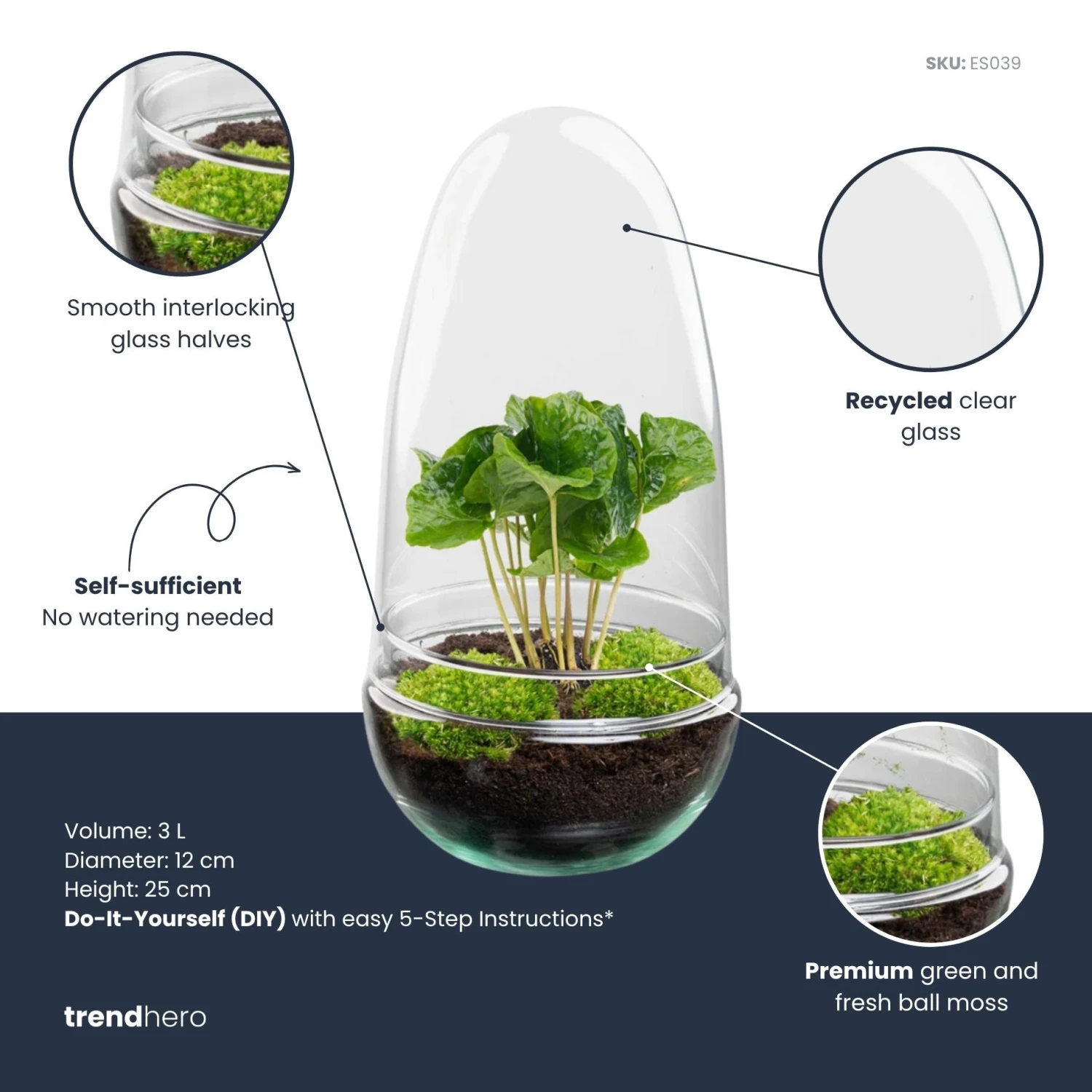 Egg - Terrarium - Two-part Glass Dome - Bottle Garden DIY Kit - Ø 12 Cm ↑ 25 Cm 5 Egg - Terrarium - Two-part Glass Dome - Bottle Garden DIY Kit - Ø 12 Cm ↑ 25 Cm - Image 5